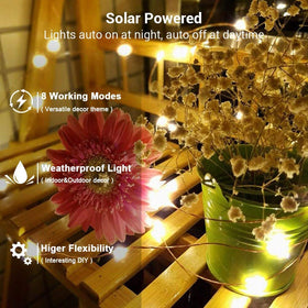 Brizled 400 LED warm white detail showcases bright, energy-efficient lighting