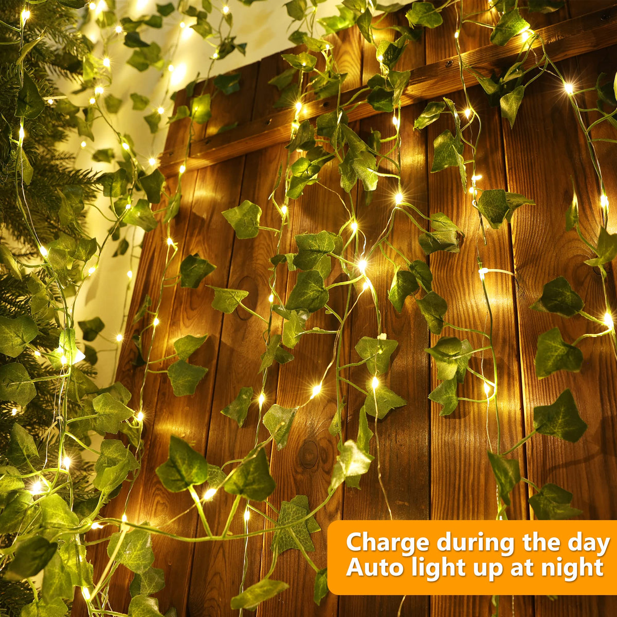 Brizled ivy string lights wrap easily around trellises and posts