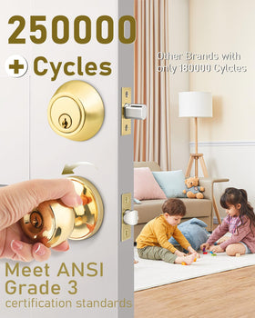 Brotima polished brass lockset close-up highlights anti-sawing bolt for added exterior door protection.