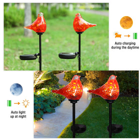Bshine waterproof solar light stake endures rain and shines at night