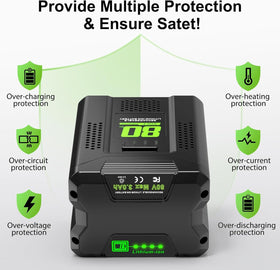 Bslite 80V battery LED display demonstrates quick power awareness.
