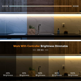 BTF-LIGHTING FCOB strip is dimmable and app-ready for flexible control.