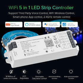 BTF-LIGHTING WB5 2.4GHz Wi‑Fi setup for Tuya app control.