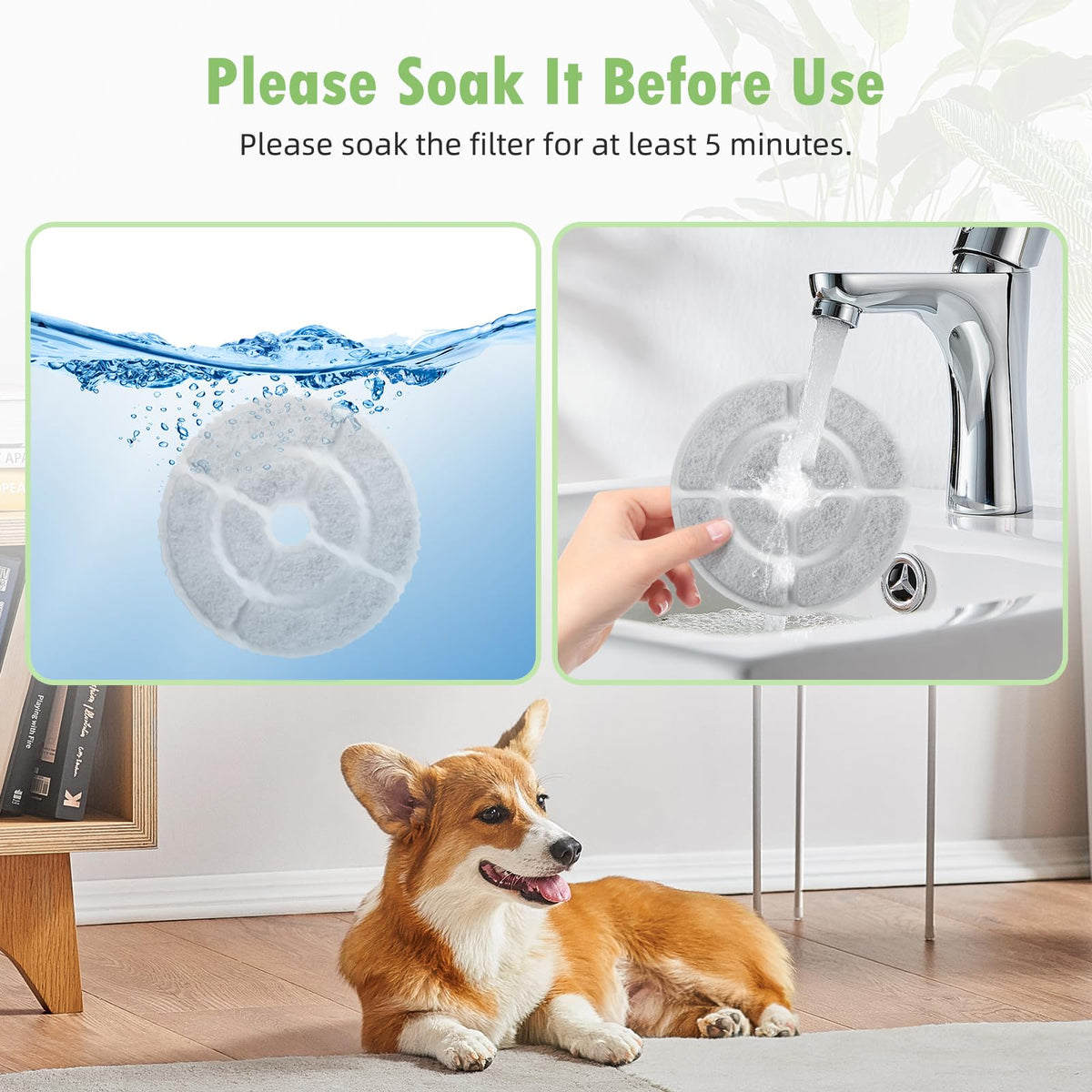 BTRSOLUS dog-water-fountain-setup shows easy installation and maintenance.
