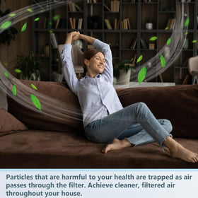 Buryeah dust-reduction performance helps keep living spaces cleaner.