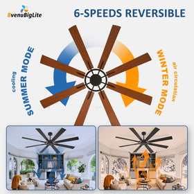 BvenuBigLite remote and app control for convenient adjustments.