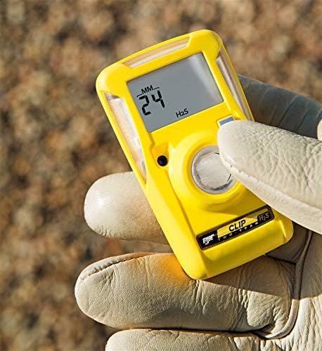 BW Technologies BWC2H BW Clip in hibernation mode with protective case