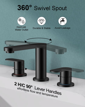 BWE matte black faucet 2-handle assembly with precise control