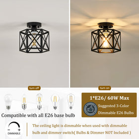 Bwxcie kitchen entryway light ideal for transitional spaces