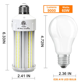 CA New Sunshine corn light demonstrates instant-on brightness for quick task lighting.