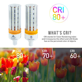 CA New Sunshine LED corn bulb IP64 rating suits wet locations like garages.