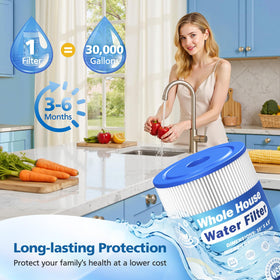 Pleated media design captures sand and rust for cleaner water.