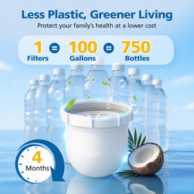 Caehomly priming and rinse guidance ensures ready-to-use filters