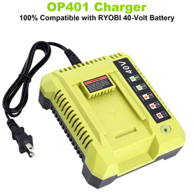 Cailingbat 40V charger OP401 back view showing ports and cable routing.