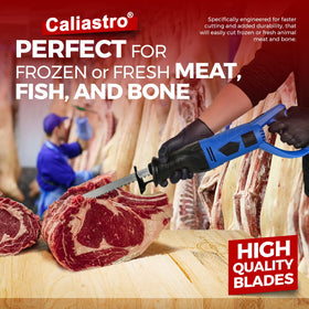 Caliastro blade teeth close-up highlighting sharp edge