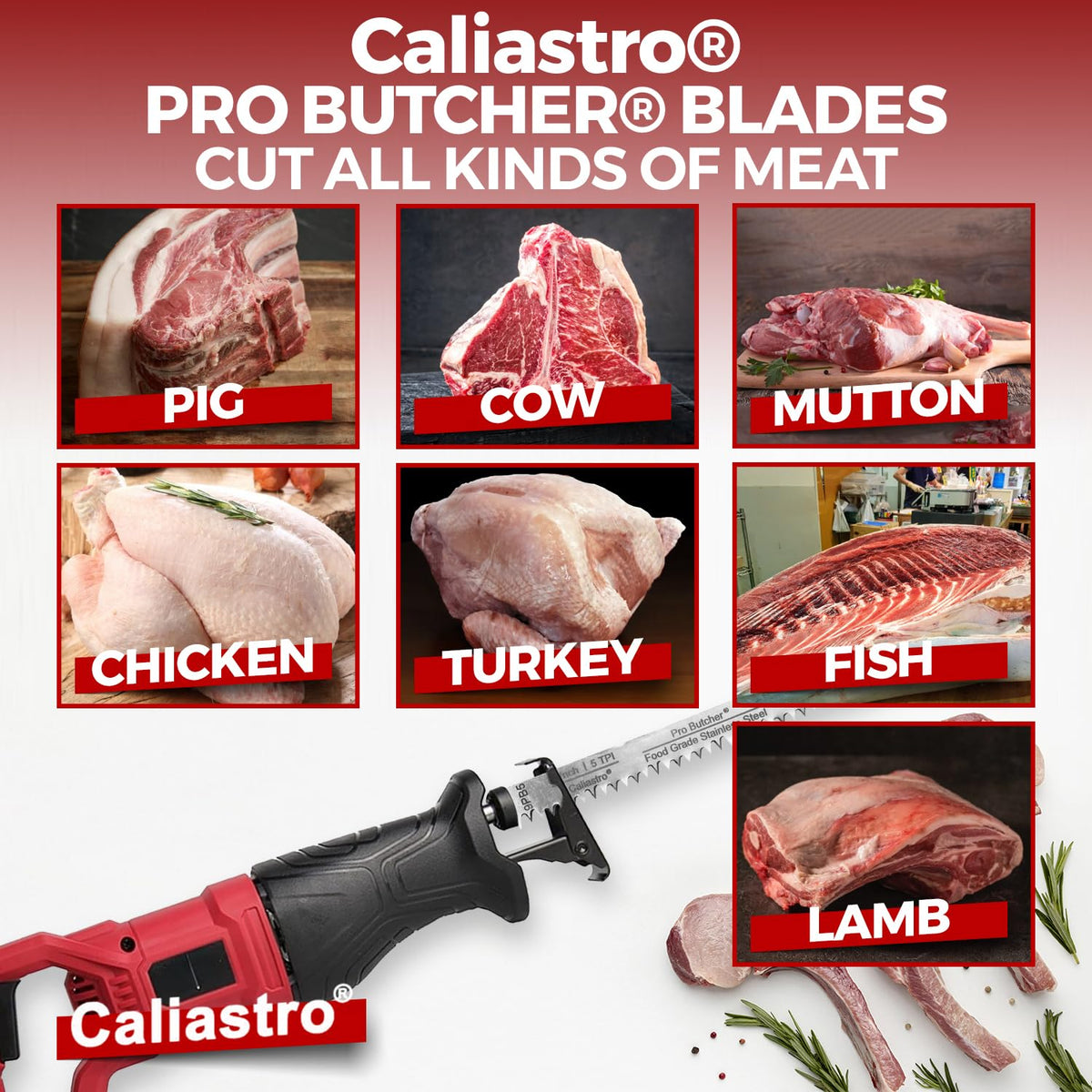 Caliastro compatible with major brands for versatile use