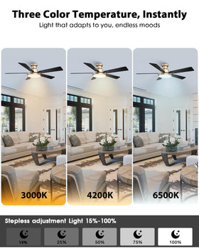 CalorHoga dual-blade black and wood design enhances modern décor.