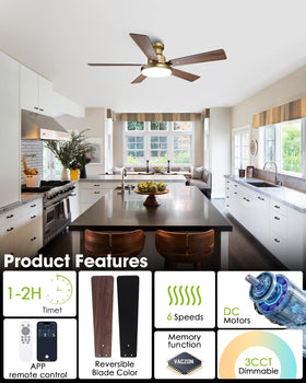 CalorHoga quiet DC motor ensures peaceful bedroom airflow.