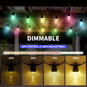 CAWWS 24V adapter provides stable, safe outdoor illumination.