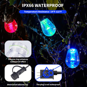 CAWWS 20 RGBW bulbs enable customizable color scenes and mood settings.