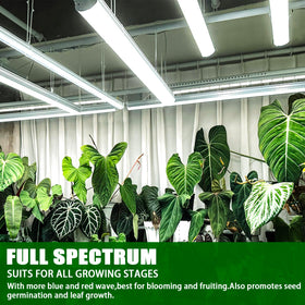 Celiwace 20000-hour lifespan reduces replacements in grow setups.