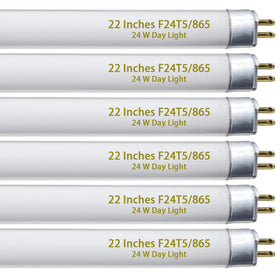 Celiwace reliable performance and supportive service for indoor cultivation.