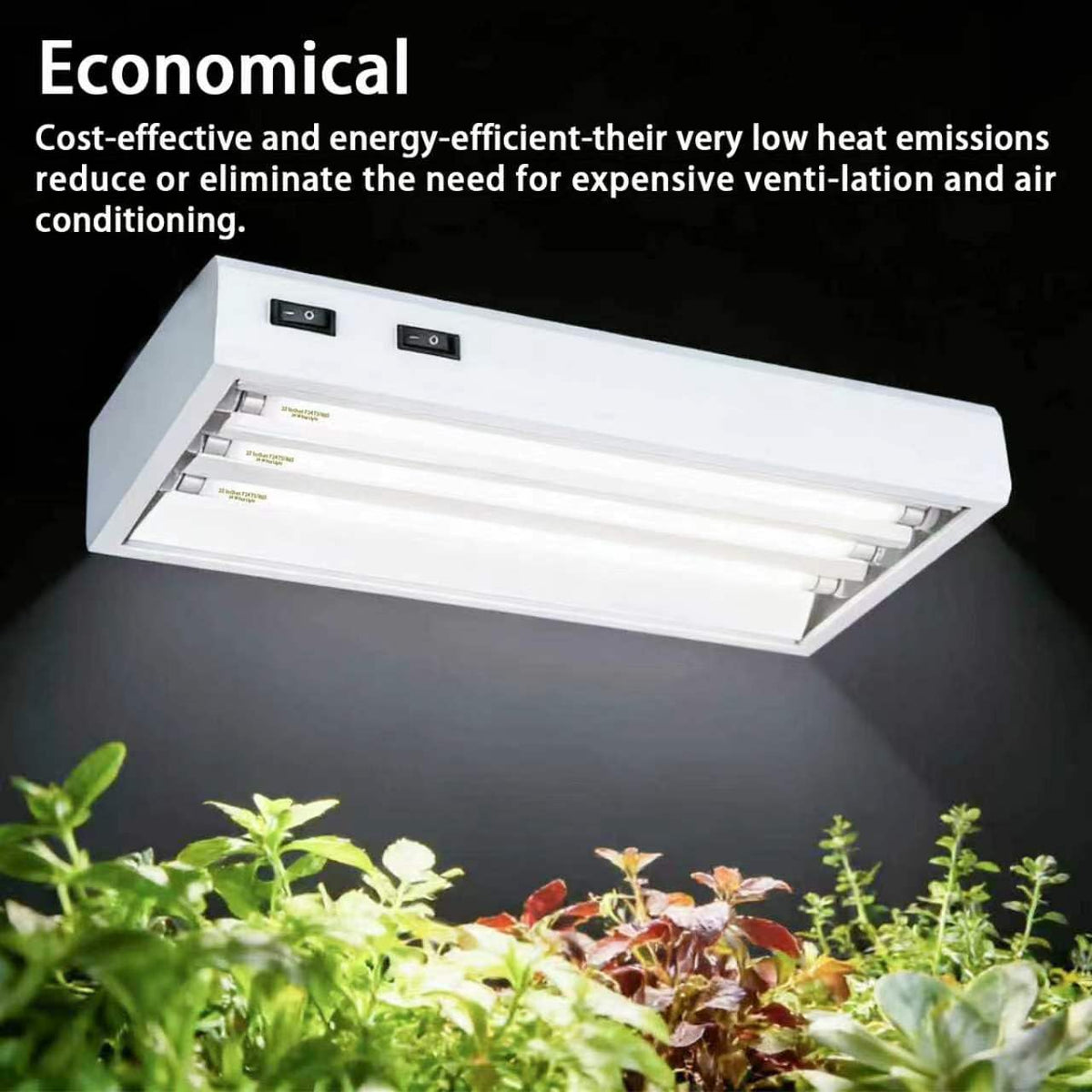 Celiwace energy-efficient lighting helps keep climate comfortable in small grows.