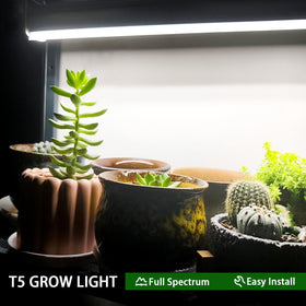 Celiwace bulbs suit indoor plants, seedlings, and veggies well.