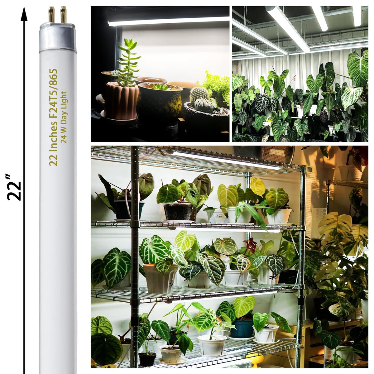 Celiwace 22-inch bulbs ideal for grow tents and multi-light rigs.