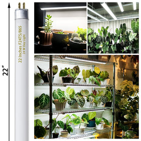Celiwace 22-inch bulbs ideal for grow tents and multi-light rigs.