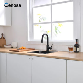 Cenosa water-efficient faucet at 1.6 GPM reduces consumption.