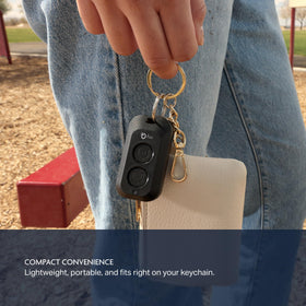 Chamberlain myQ remote beside compatible openers from different brands