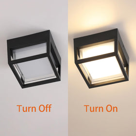 CHENS01 wet-location rated porch light suitable for patios and entryways.