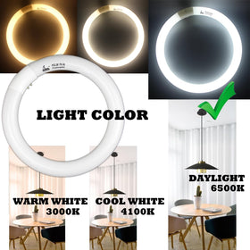 CHKADAWA daylight 6500K bulb ideal for kitchens and baths.