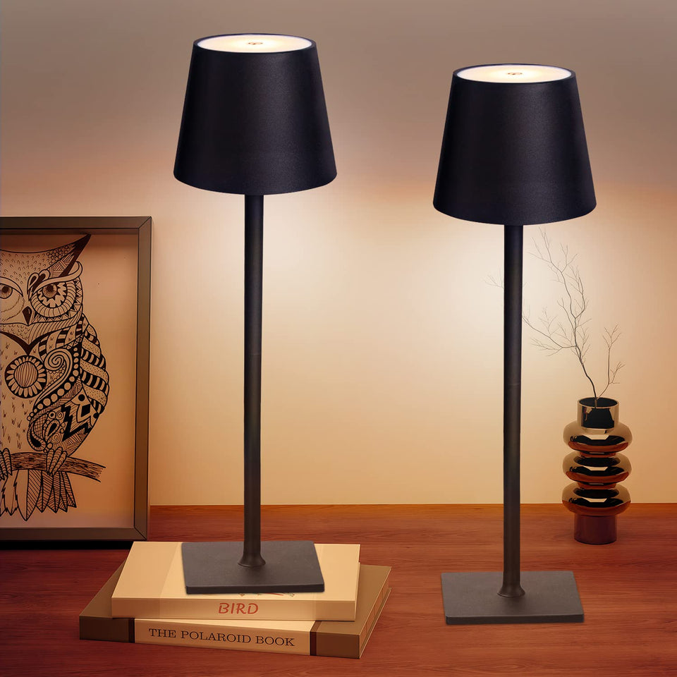 CHLORANTHUS cordless table lamp with 3 color modes for mood lighting.