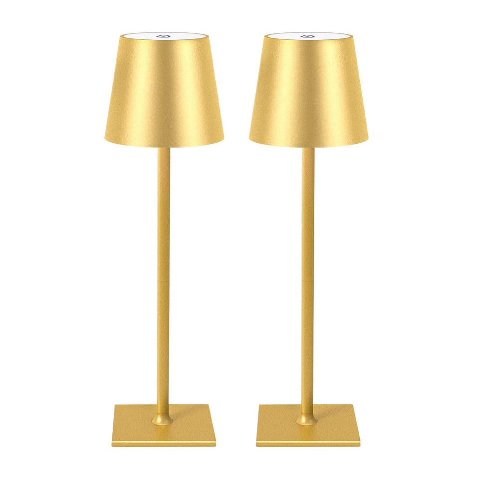 CHLORANTHUS cordless table lamps in a two-pack setup for flexible lighting.