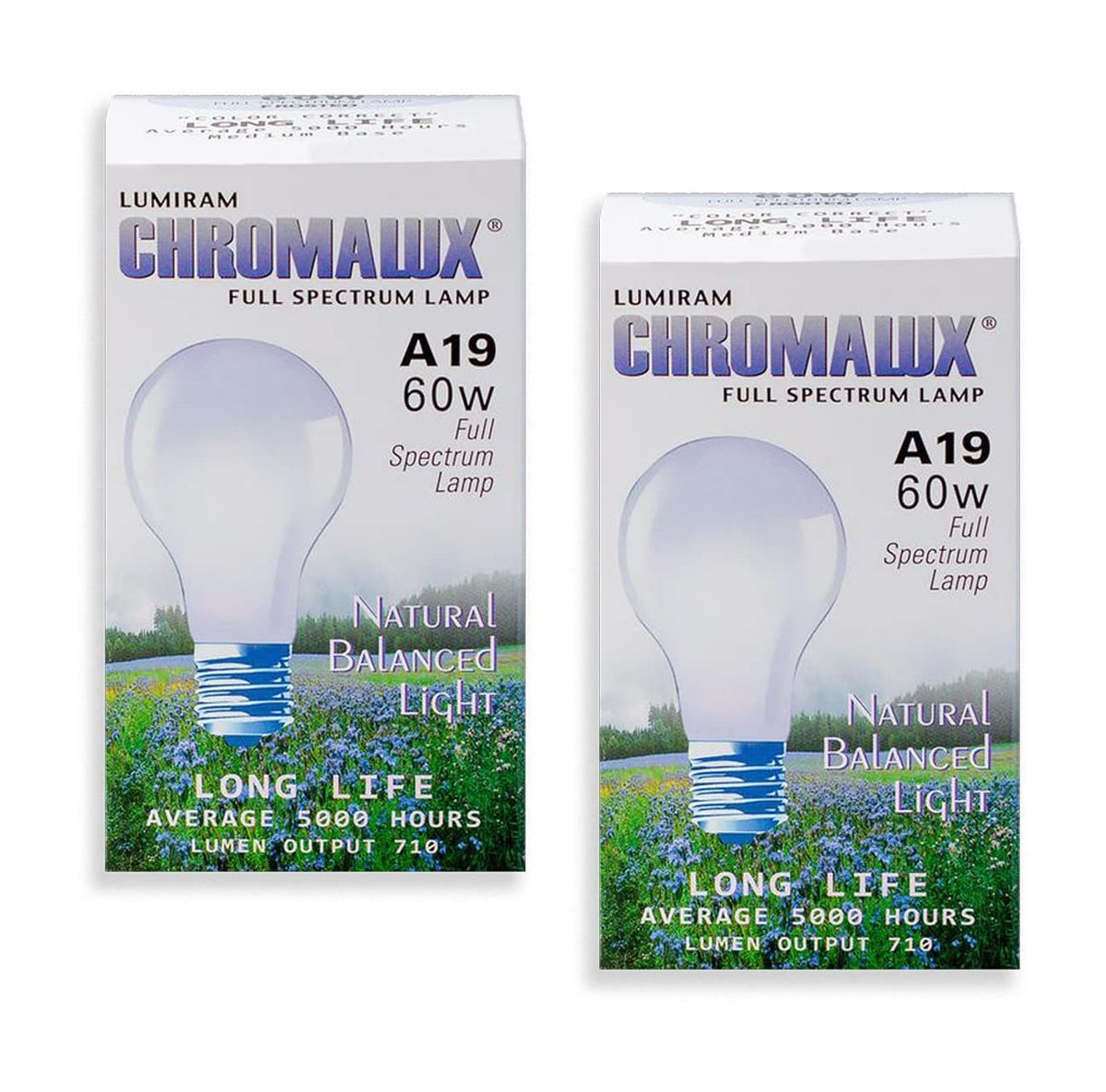 Chromalux frosted 60W bulb pack of 2, front view, delivers a soft, even glow.