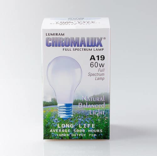 Chromalux frosted 60W bulbs pack of 2 in a lamp, reducing glare for comfortable lighting.