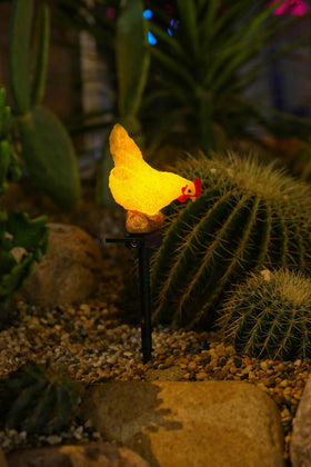 CHUANGFENG no-wiring chicken light installs easily in soil or pots.