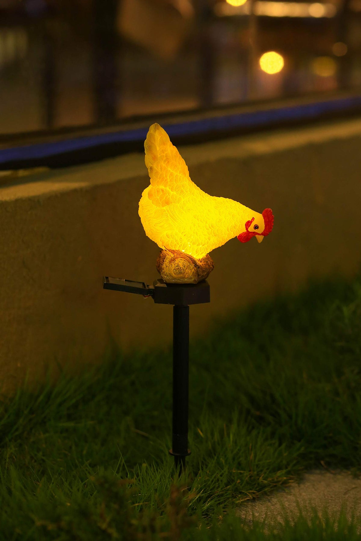 CHUANGFENG solar panel powered chicken light charges by day for night ambiance.