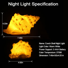 CICINY conch-shell light adds nautical decor to living spaces.