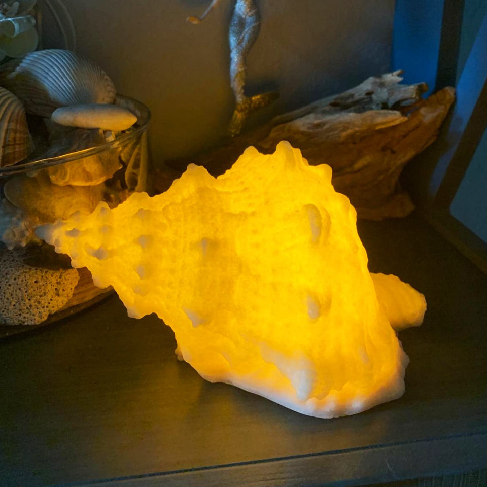 CICINY conch-shell night light with soft glow for a calm kids' room.