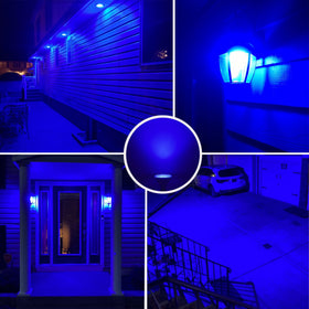 CICINY blue Par38 bulb adds holiday lighting color.