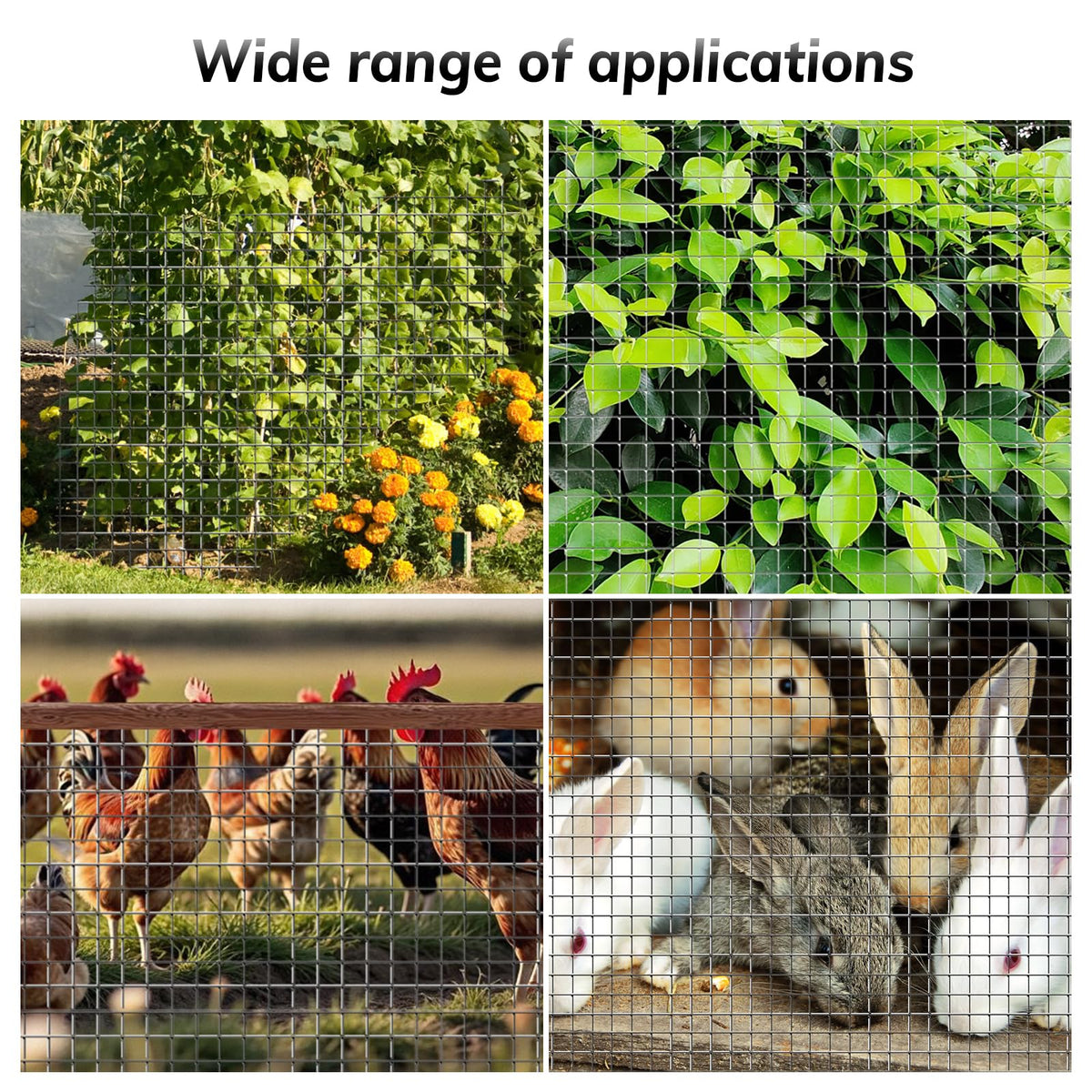 Cieex rabbit hutch enclosure reinforced by galvanized mesh fencing.