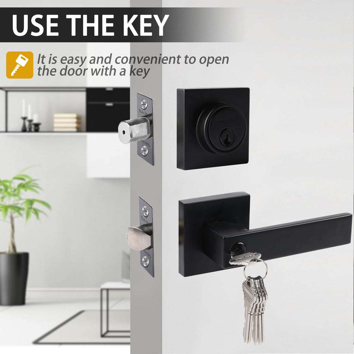 Cielsa Dawn keyed-alike set demonstrates convenient external access with synchronized keys.