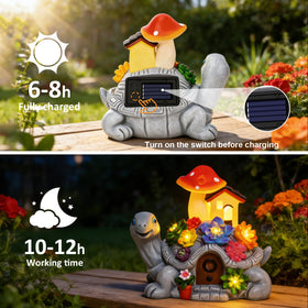 Cikoube gift-ready turtle statue in elegant box