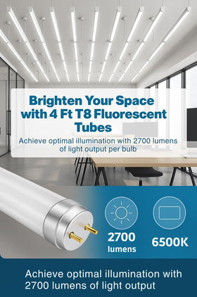 Circle F32T8 6500K daylight glow improves office visibility.