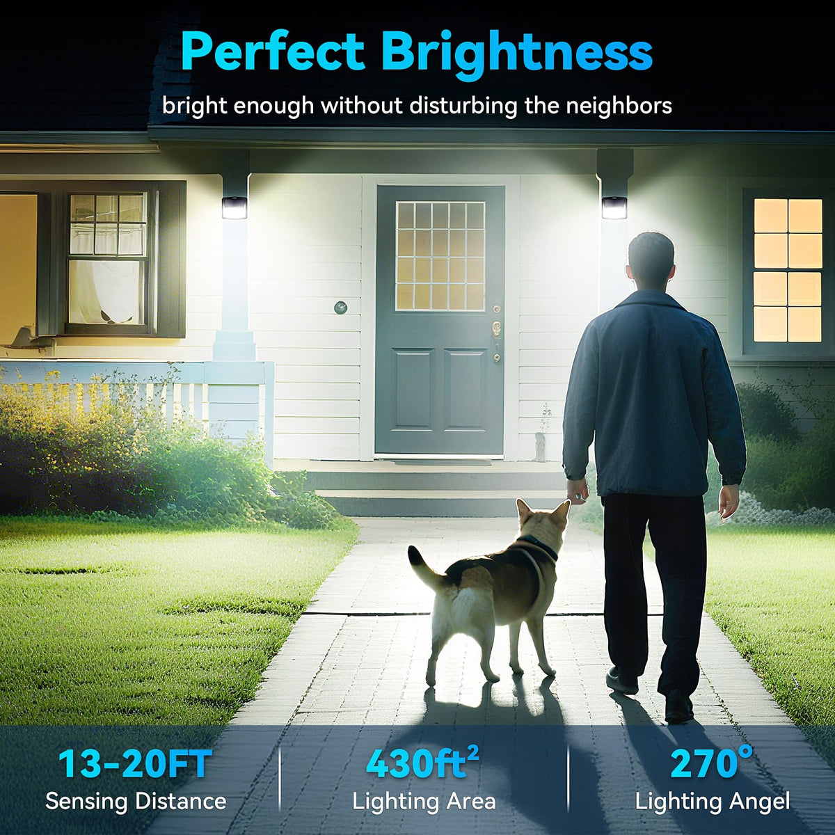 CLAONER IP65 waterproof solar lights withstand weather for year-round use.