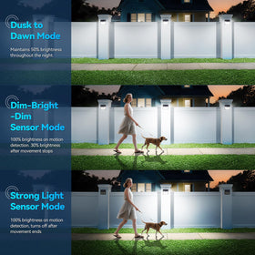 CLAONER motion-sensor solar lights activate with movement for added security.