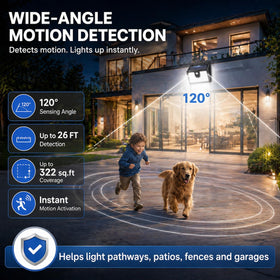 CLAONER two-year warranty offers reassurance and reliable illumination.